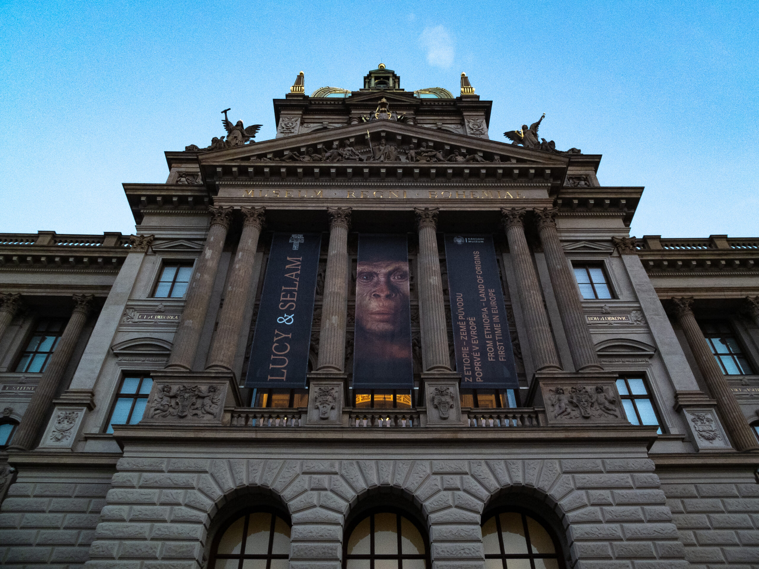 Přečtete si více ze článku Lucy a Selam v Národním muzeu: o nové expozici a lidstvu